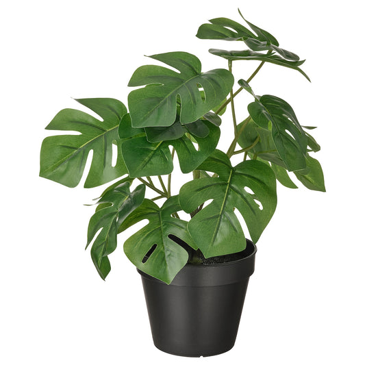 AMGREEN Artificial potted plant, in/outdoor Monstera, 12 cm